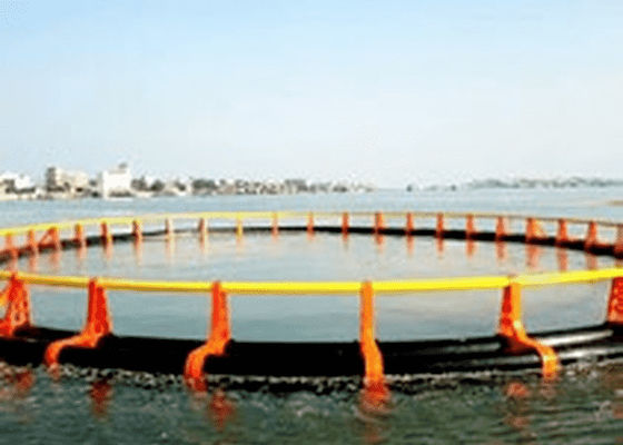 JWELL-de Machinepe Marine Pedal Making Machine van de Profieluitdrijving